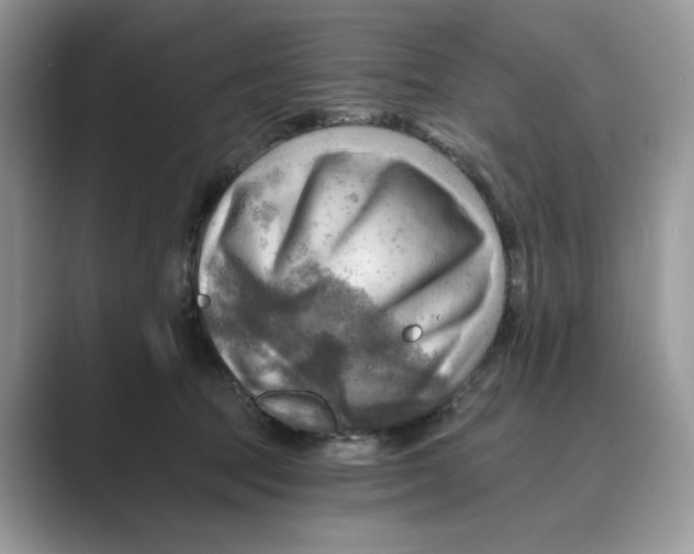 X0000088860369200707061055