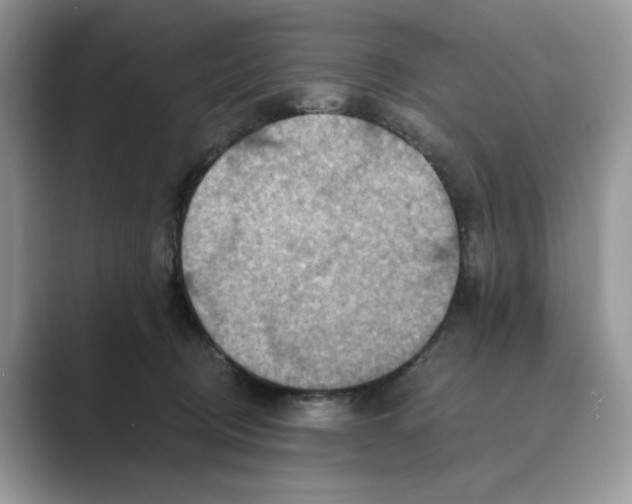 X0000088860370200707061055