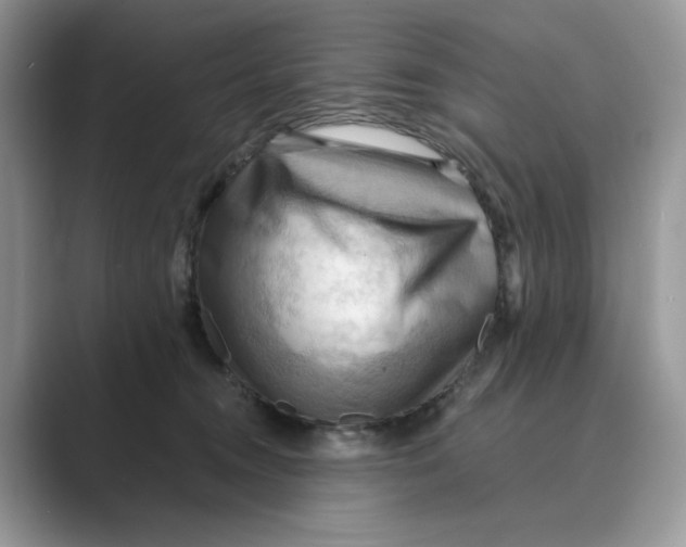 X0000088860372200707061055