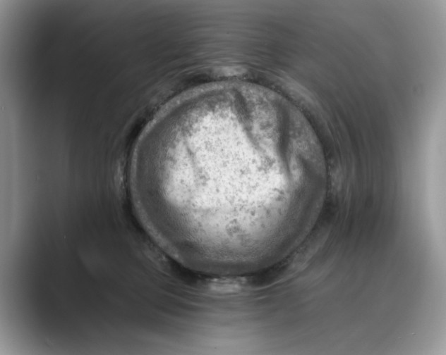 X0000088860373200707061055