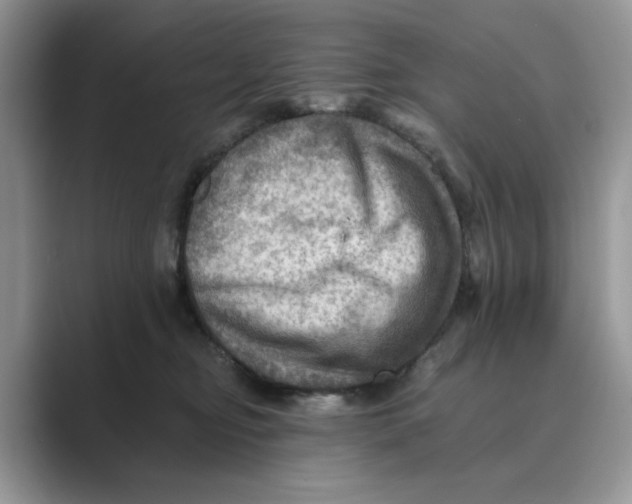 X0000088860374200707061055