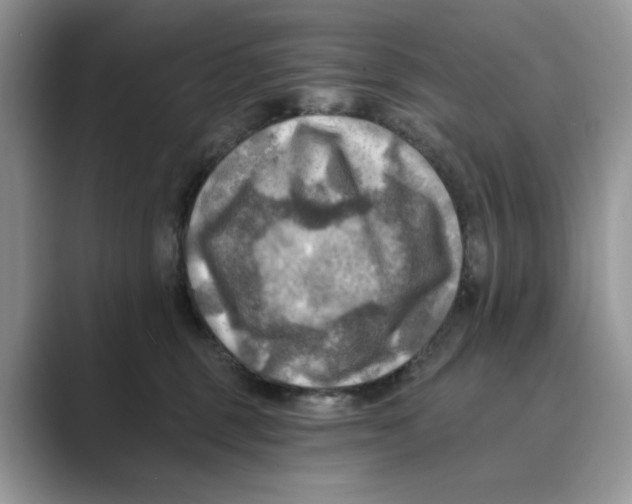 X0000088860375200707061055