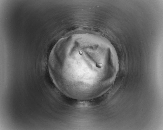 X0000088860376200707061055