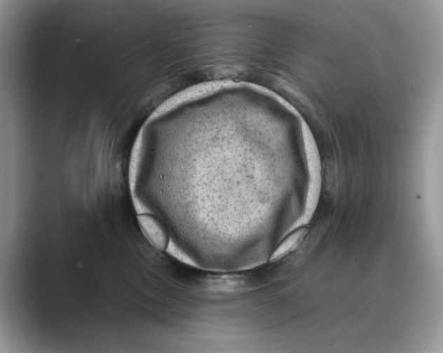 X0000088860378200707061055