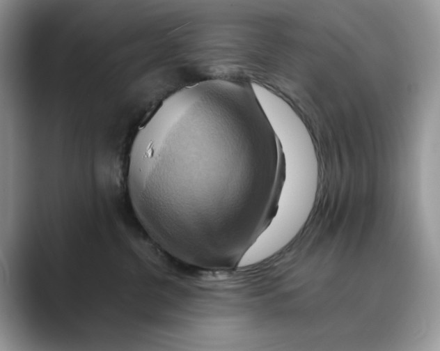 X0000088860380200707061055