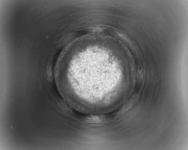 X0000088860381200707061055