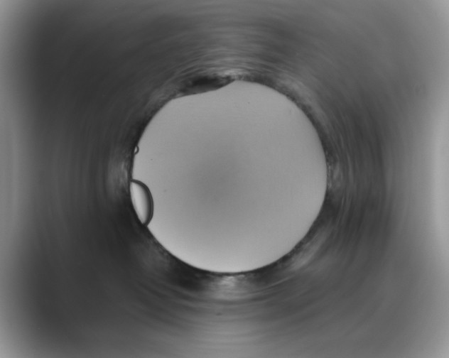 X0000088860382200707061055