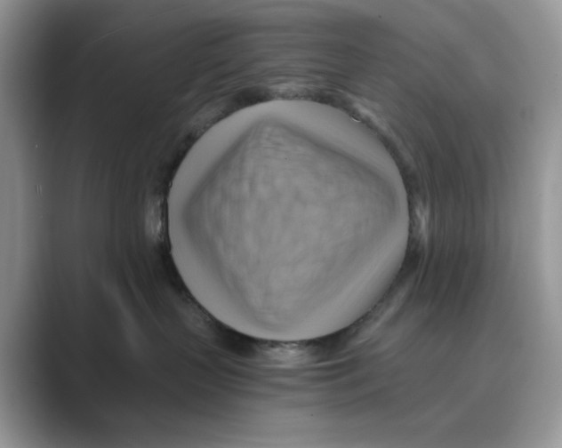 X0000088860383200707061055