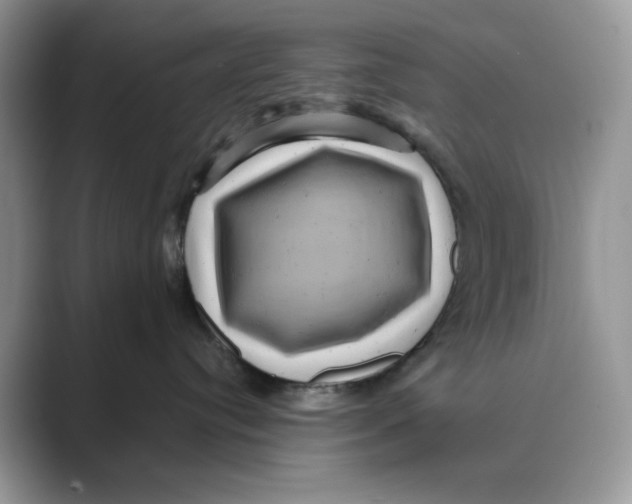 X0000088860384200707061055