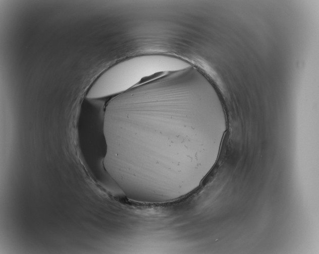 X0000088860385200707061055