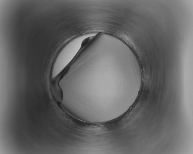 X0000088860386200707061055