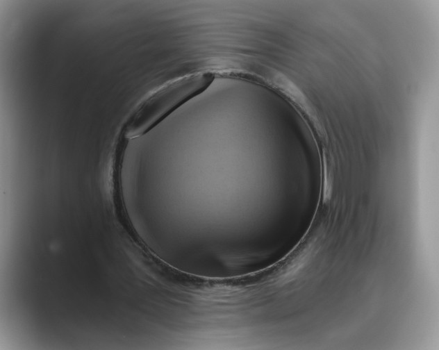 X0000088860387200707061055