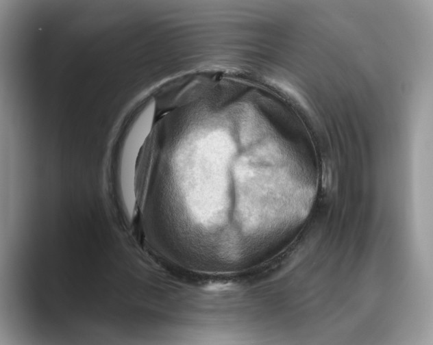 X0000088860388200707061055