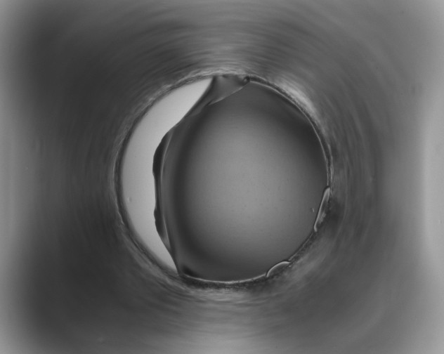 X0000088860389200707061055