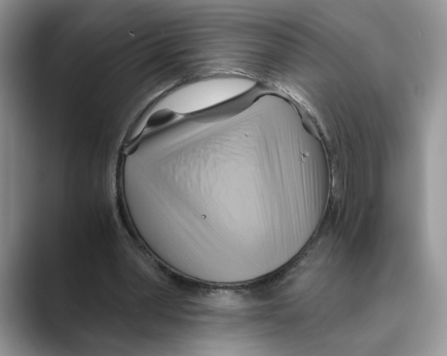 X0000088860390200707061055