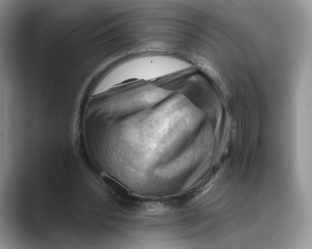 X0000088860392200707061055