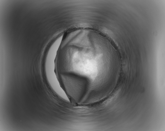 X0000088860395200707061054