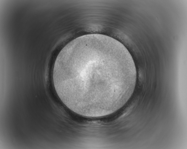 X0000088860396200707061054