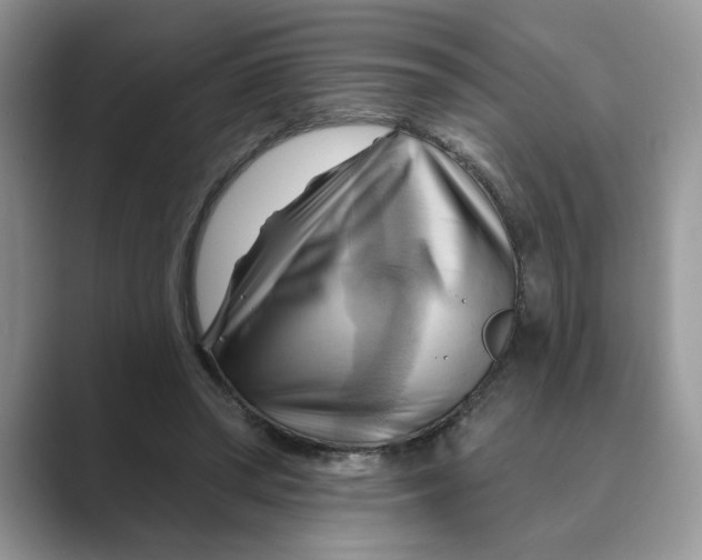 X0000088860398200707061054