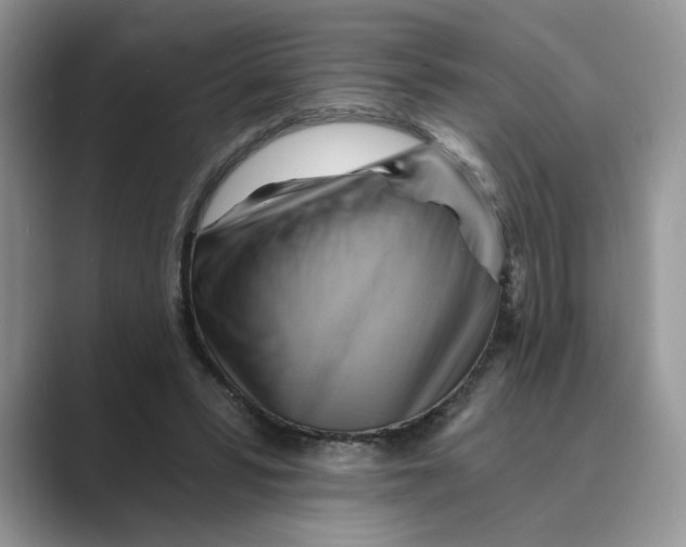 X0000088860399200707061054