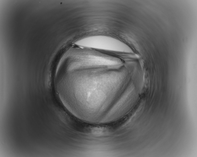 X0000088860400200707061054