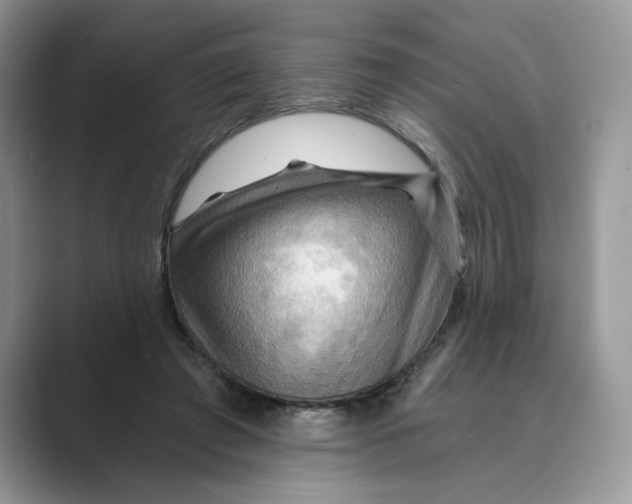 X0000088860401200707061054