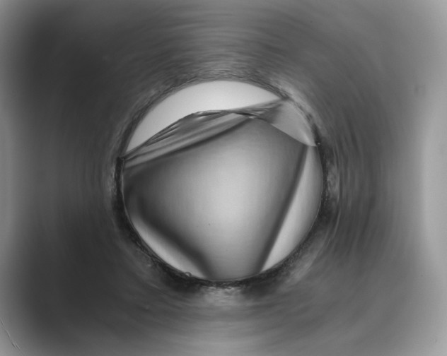 X0000088860403200707061054