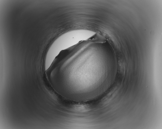 X0000088860404200707061054