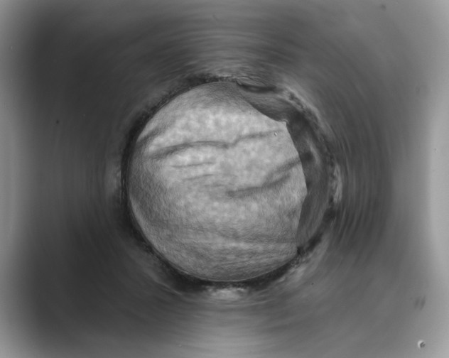 X0000088860407200707061054