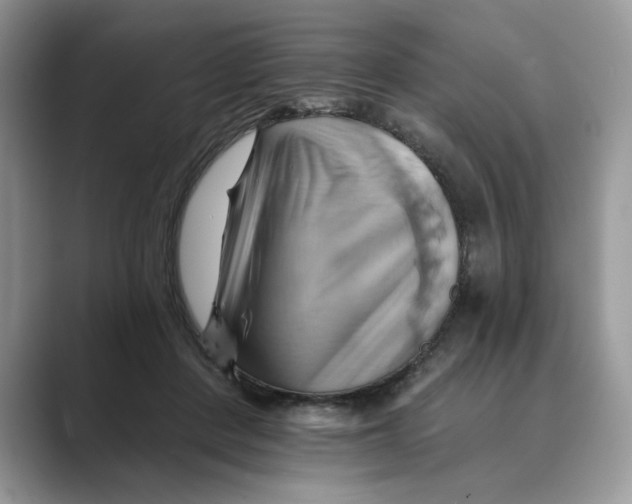 X0000088860408200707061054