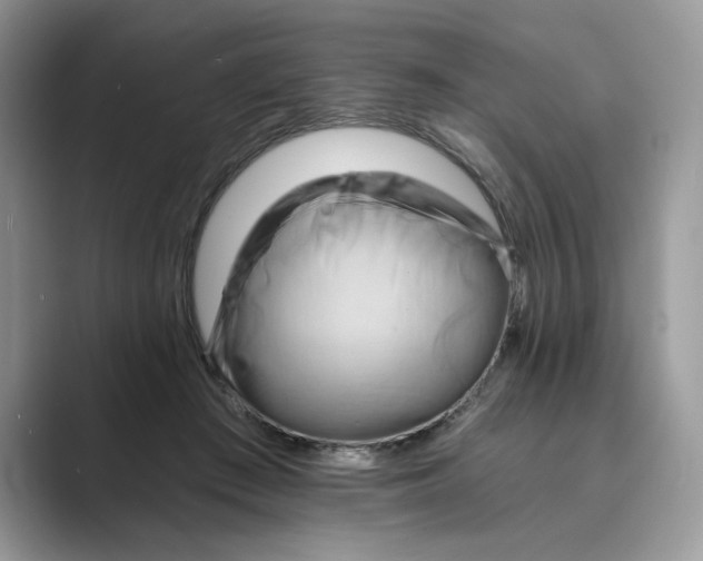 X0000088860409200707061054