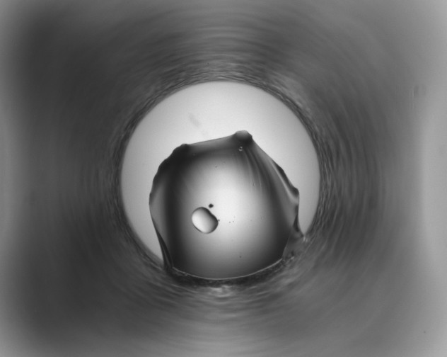 X0000088860411200707061054