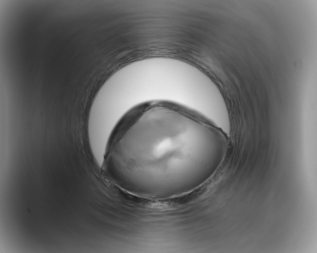 X0000088860413200707061054