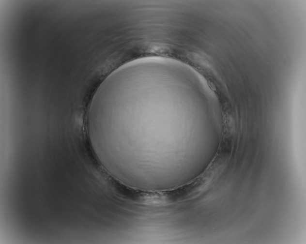 X0000088860415200707061054