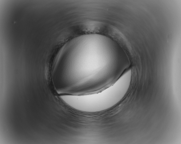 X0000088860416200707061054