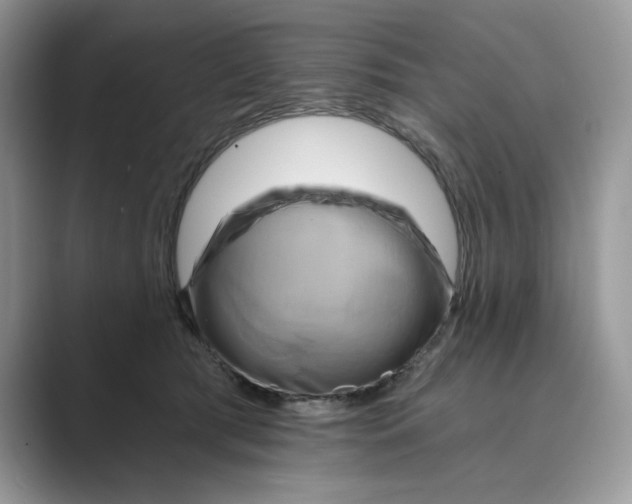 X0000088860417200707061054