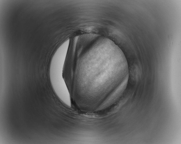 X0000088860420200707061054