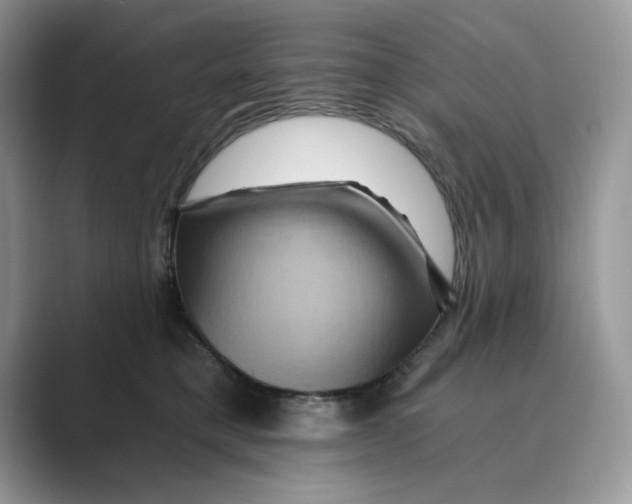 X0000088860421200707061054