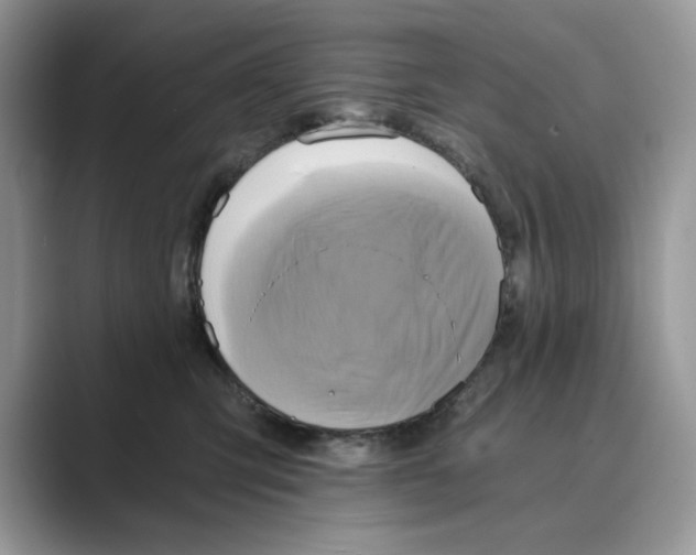 X0000088860423200707061054