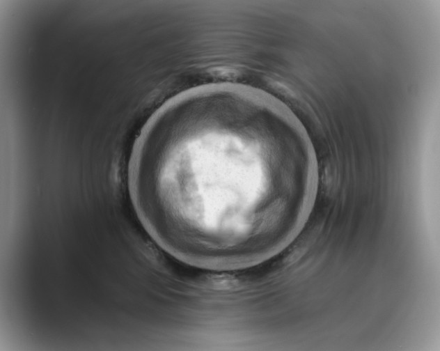 X0000088860424200707061054