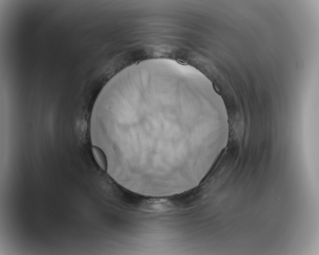 X0000088860427200707061054