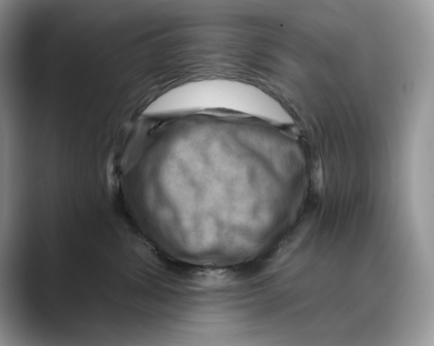 X0000088860428200707061054