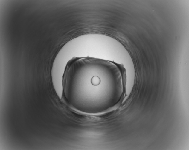 X0000088860429200707061054