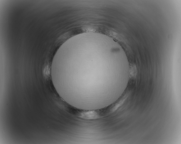 X0000088860431200707061054