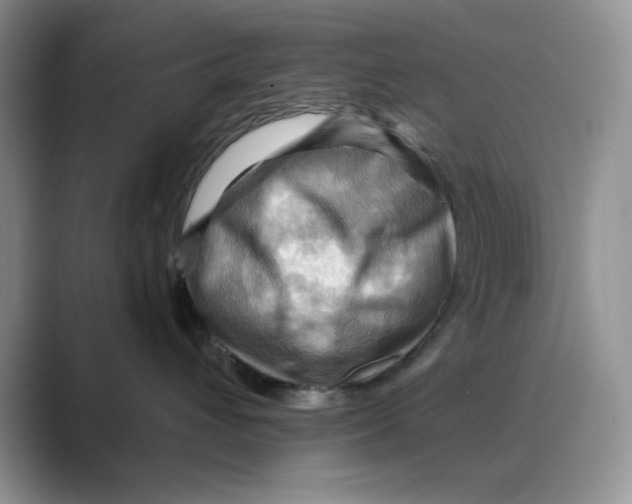 X0000088860432200707061054