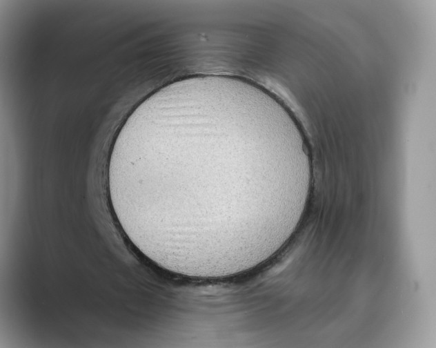 X0000088860433200707061053