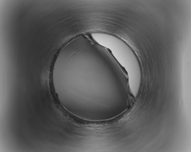 X0000088860434200707061053