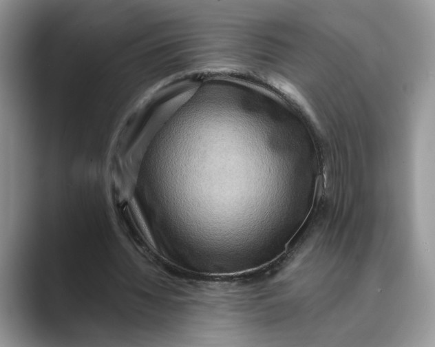 X0000088860436200707061053