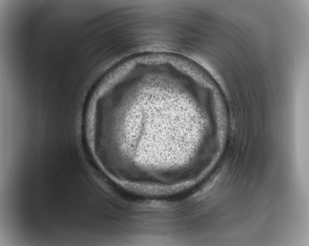 X0000088860437200707061053