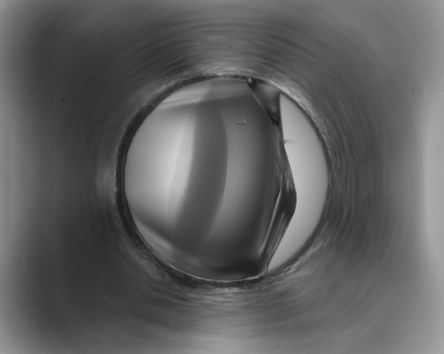 X0000088860438200707061053